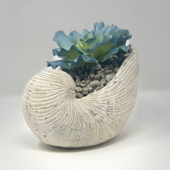 SEASHELL FLOWER POT WITH REAL FEEL ARTIFICIAL  FLOWER