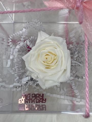 Single white infinity rose "Happy Birthday"