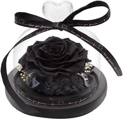 Eternal Black Rose in Heart Dome