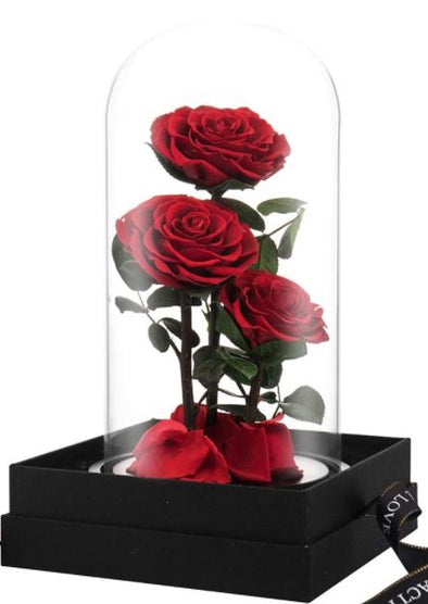 Eternal Red Rose Glass Keepsake Dome Large