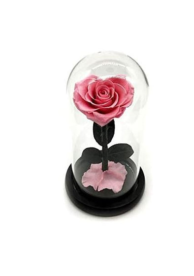 Heart Shaped Pink Rose Glass Keepsake Dome