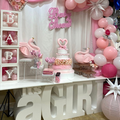 IT'S A GIRL! BABY SHOWER BACKDROP/ARCH PARTY DECOR