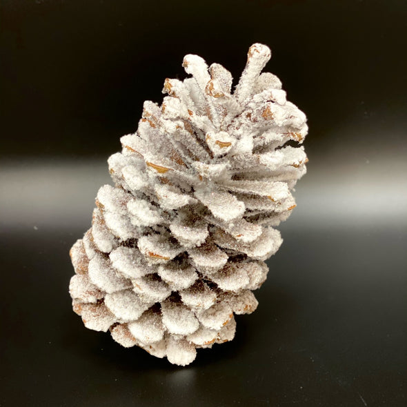 SNOW COVERED PINE CONE