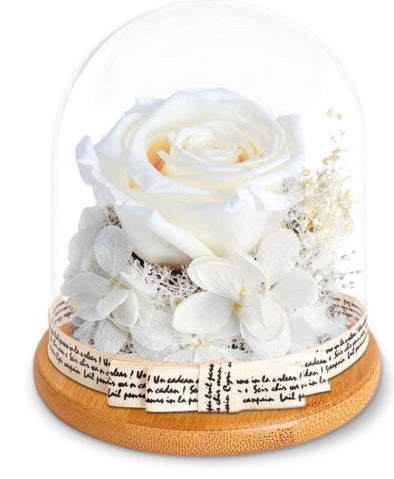 Eternal White Rose w/ Ribbon Message Keepsake Dome Small