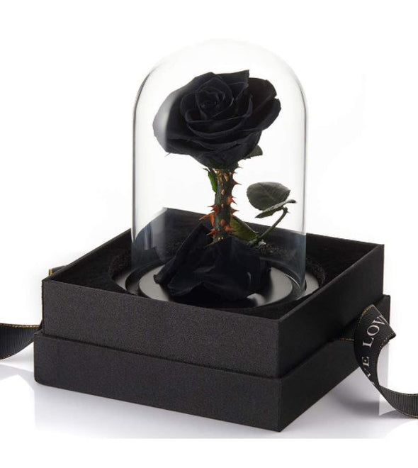 Eternal Black Rose Glass Keepsake Glass Dome