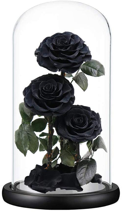 Eternal Black Roses in Glass Dome