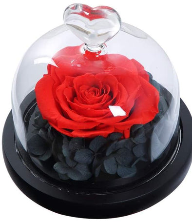 Eternal Red/Black  Rose w/ Heart Keepsake Dome Xsmall