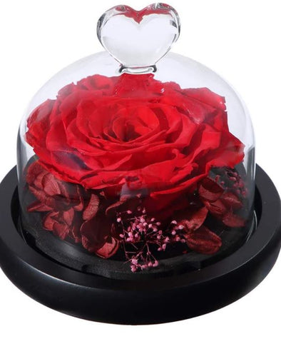 Eternal Red/Red  Rose w/ Heart Keepsake Dome Xsmall