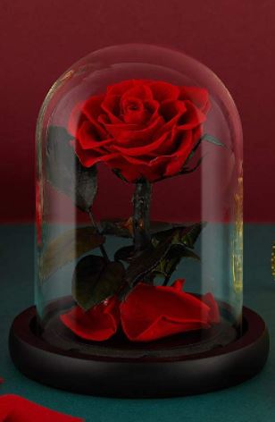 Eternal Red Rose Glass Keepsake Dome Small